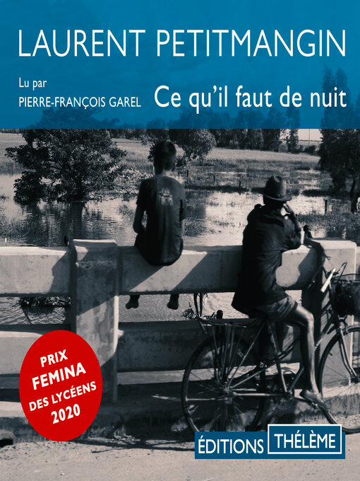 Title details for Ce qu'il faut de nuit by Laurent Petitmangin - Wait list